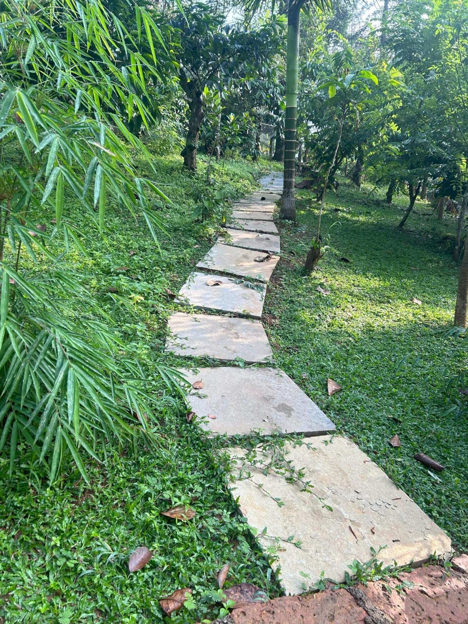 Sylvan Resort Wayanad Extérieur photo