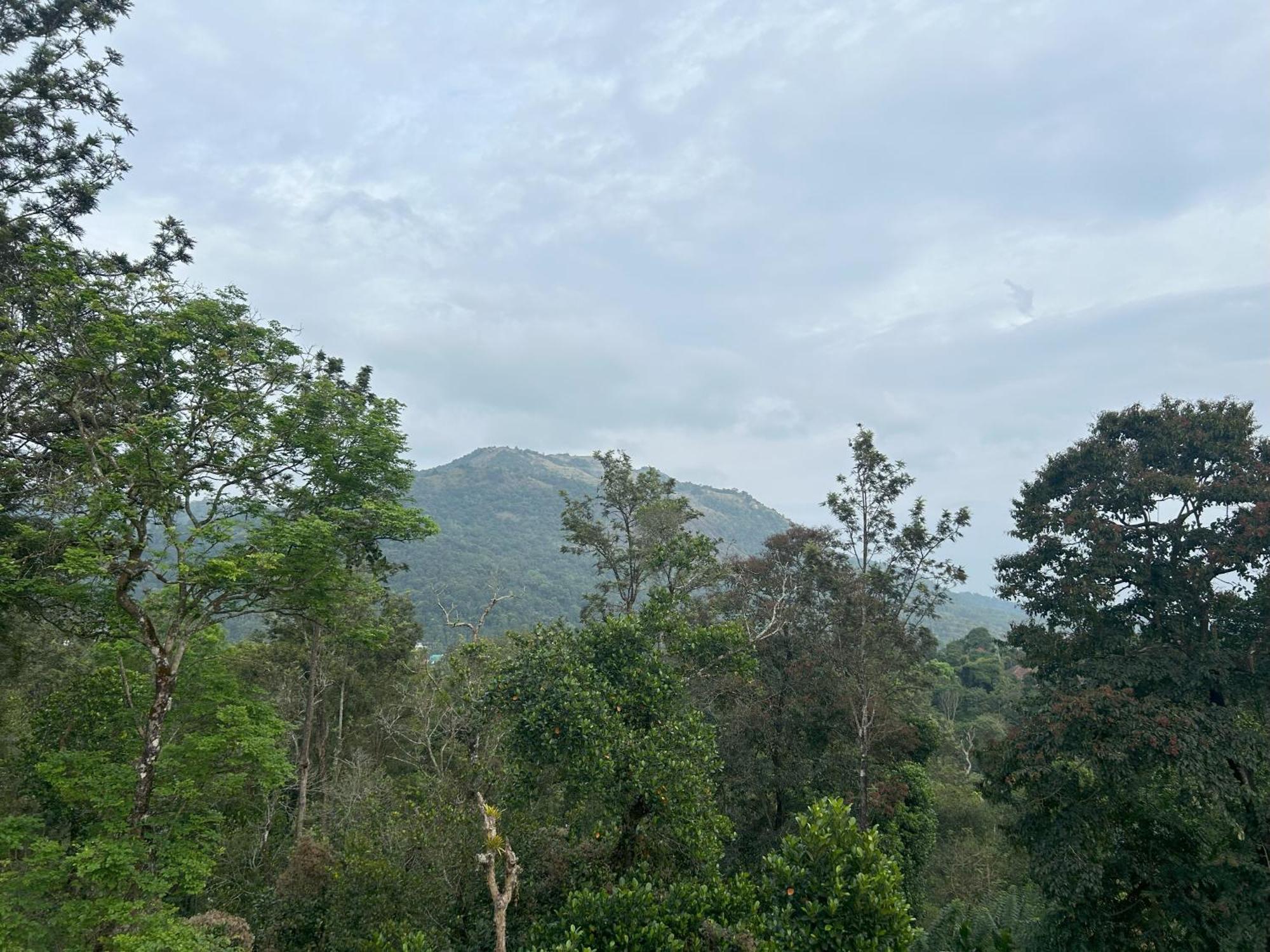 Sylvan Resort Wayanad Extérieur photo